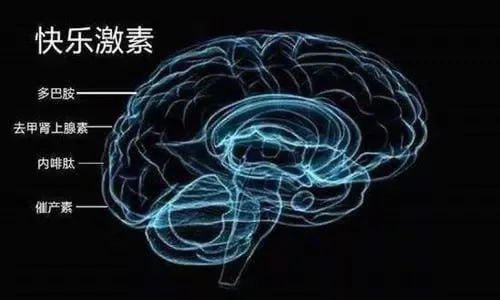 快乐激素